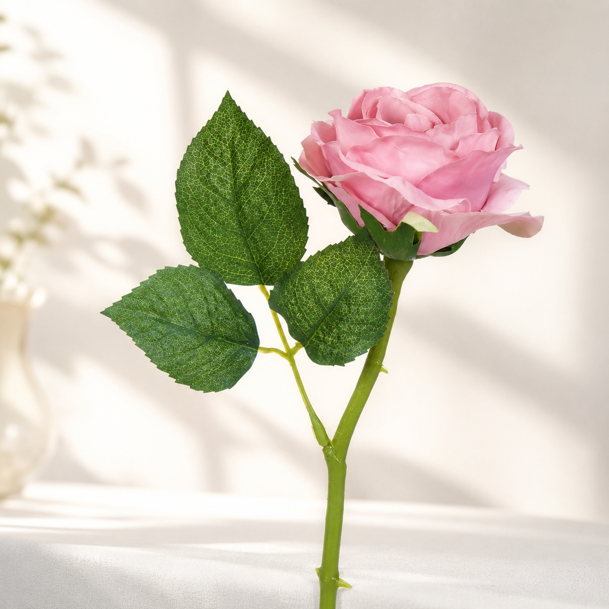 Pink rose with green leaves on a soft white background
