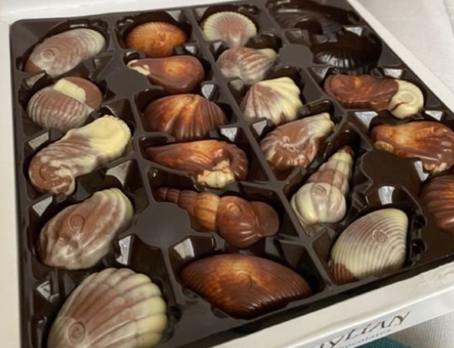 J.D. Gross Belgian Chocolate Seashells – Luxury Nougat Filled Pralines