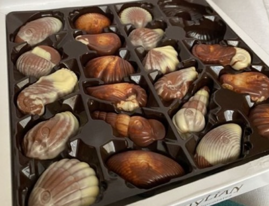 J.D. Gross Belgian Chocolate Seashells – Luxury Nougat Filled Pralines