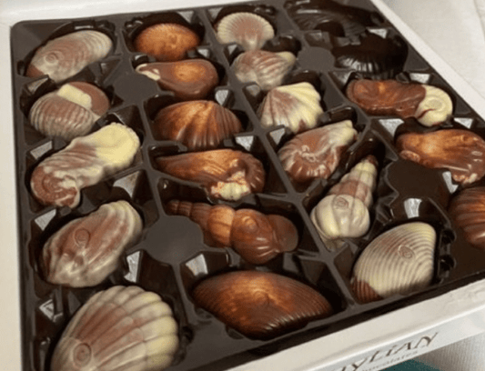 J.D. Gross Belgian Chocolate Seashells – Luxury Nougat Filled Pralines - Gifting CY - Cyprus -