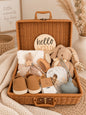 Newborn baby gift basket with plush bunny, baby brush, comb, socks, shoes and Hello World keepsake plaque