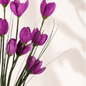 Elegant Decorative Purple Blossom Branch - Gifting CY - Cyprus - 